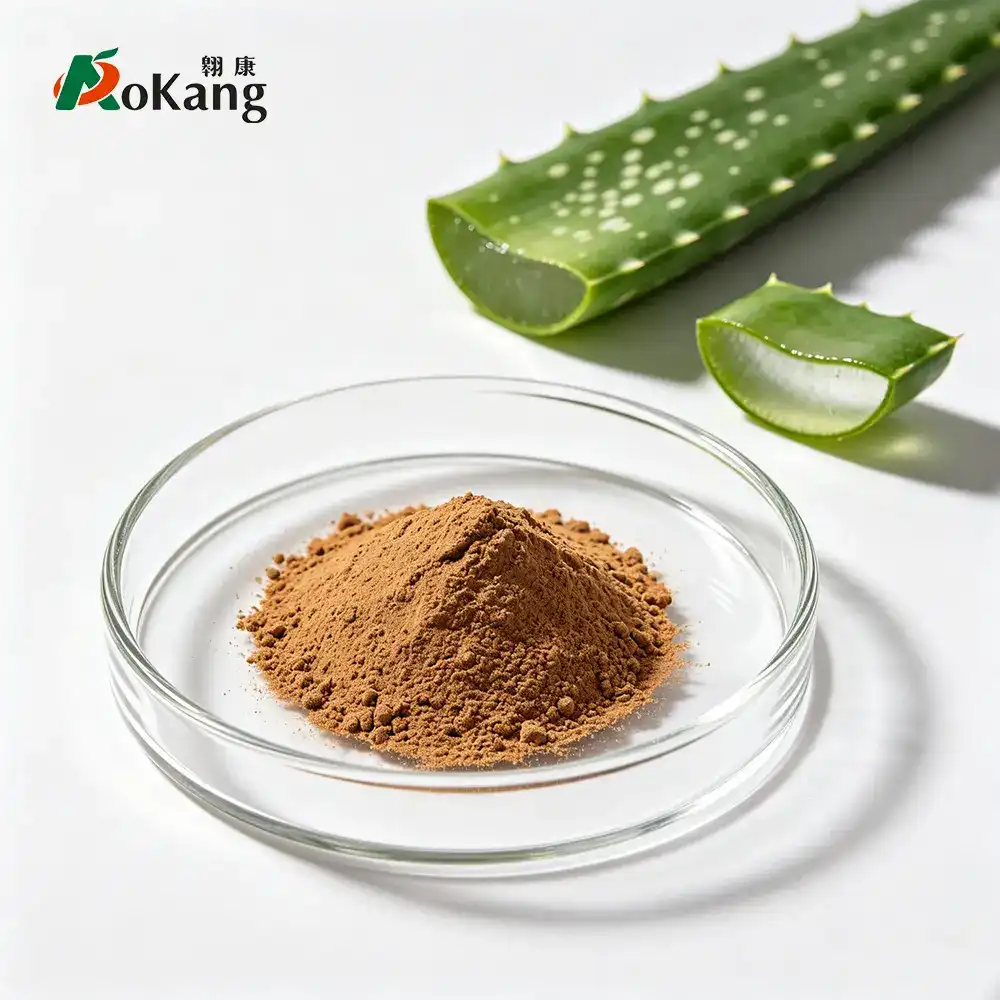 Pure Aloe Vera Extract Powder